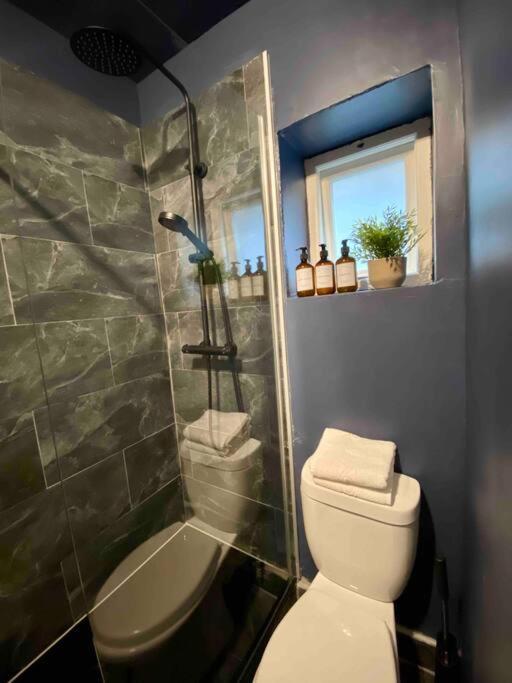Stylish Studio For 3 Near Regents Park N4 Λονδίνο Εξωτερικό φωτογραφία